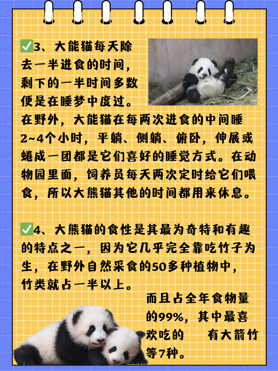 熊猫的性格特点是什么  孩子看到熊猫的视频,问我熊猫的性格特点是