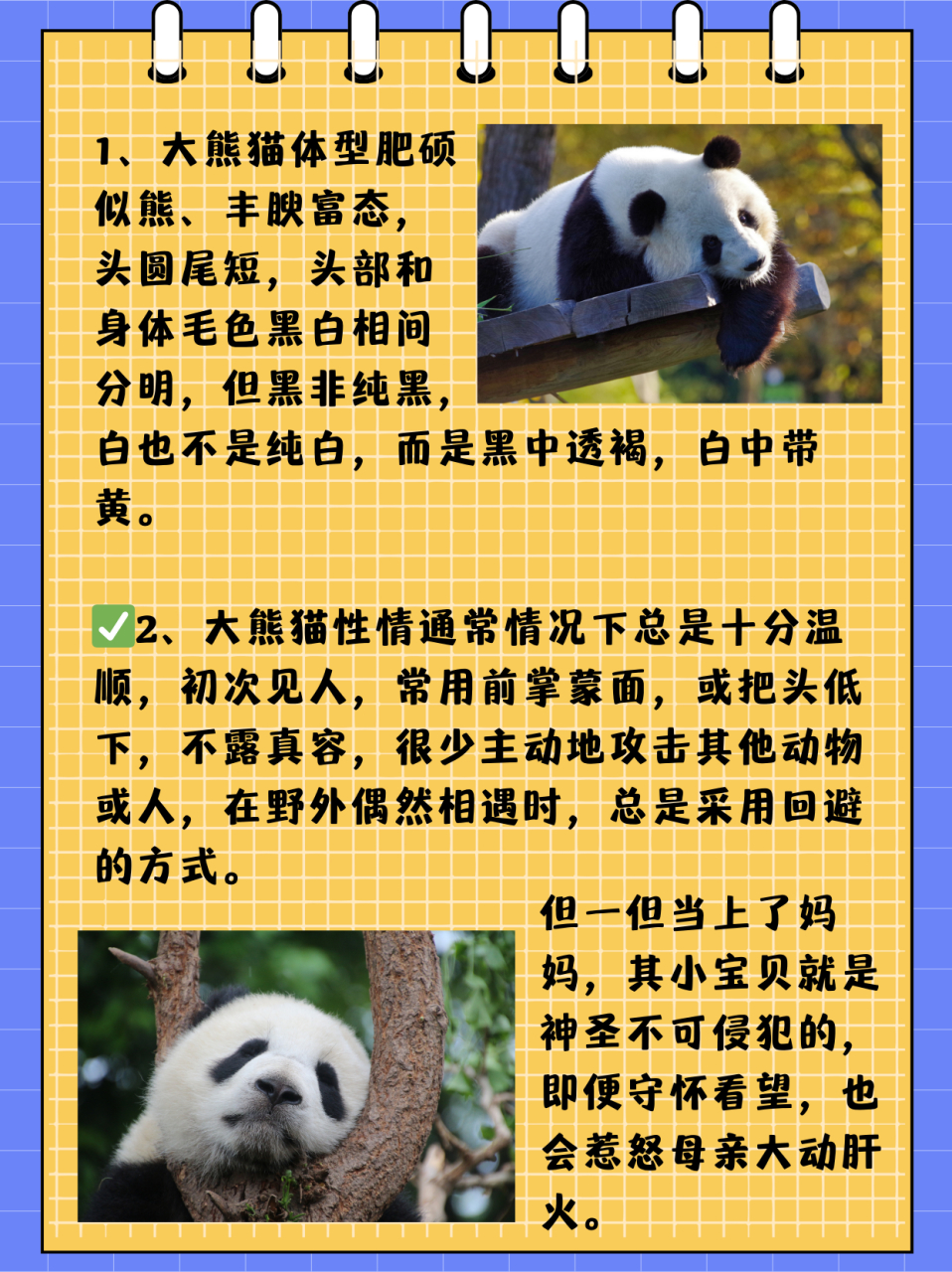 ✅1,大熊猫体型肥硕似熊,丰腴富态,头圆尾短,头部和身体毛色黑白
