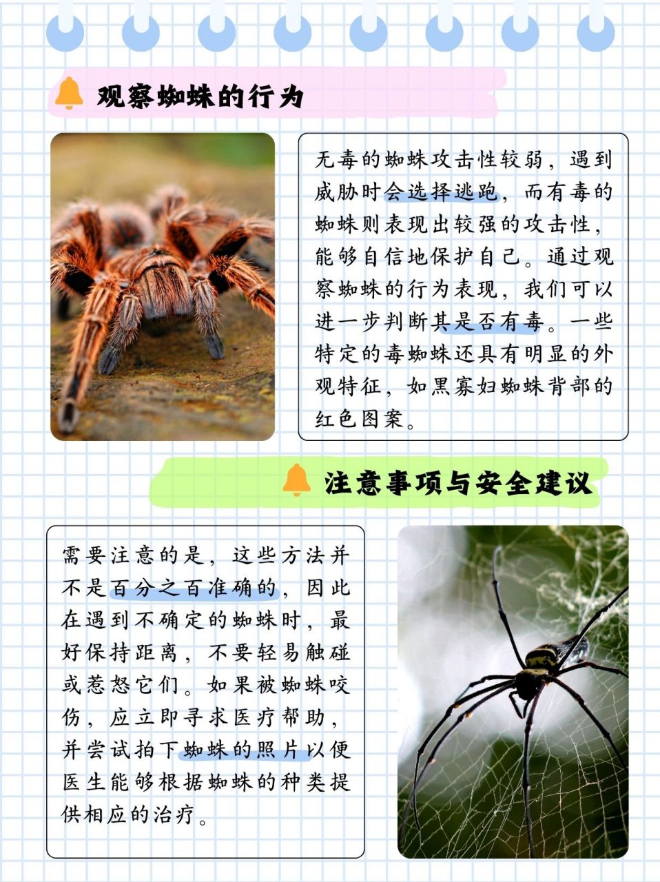 蜘蛛突然不来了怎么办=蜘蛛突然不动了但还活着怎么回事