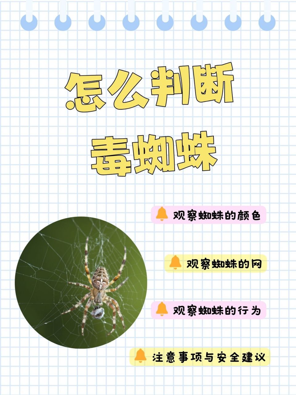 怎么判断毒蜘蛛  判断蜘蛛是否有毒,可以通过观察其外形特征和行为