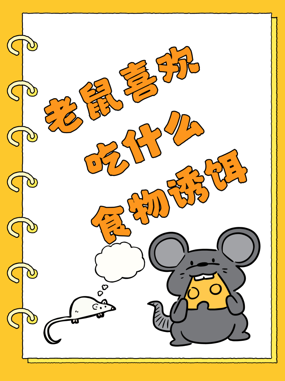 老鼠喜欢吃什么食物诱饵  老鼠的嗅觉非常灵敏,所以选择适口性较好的