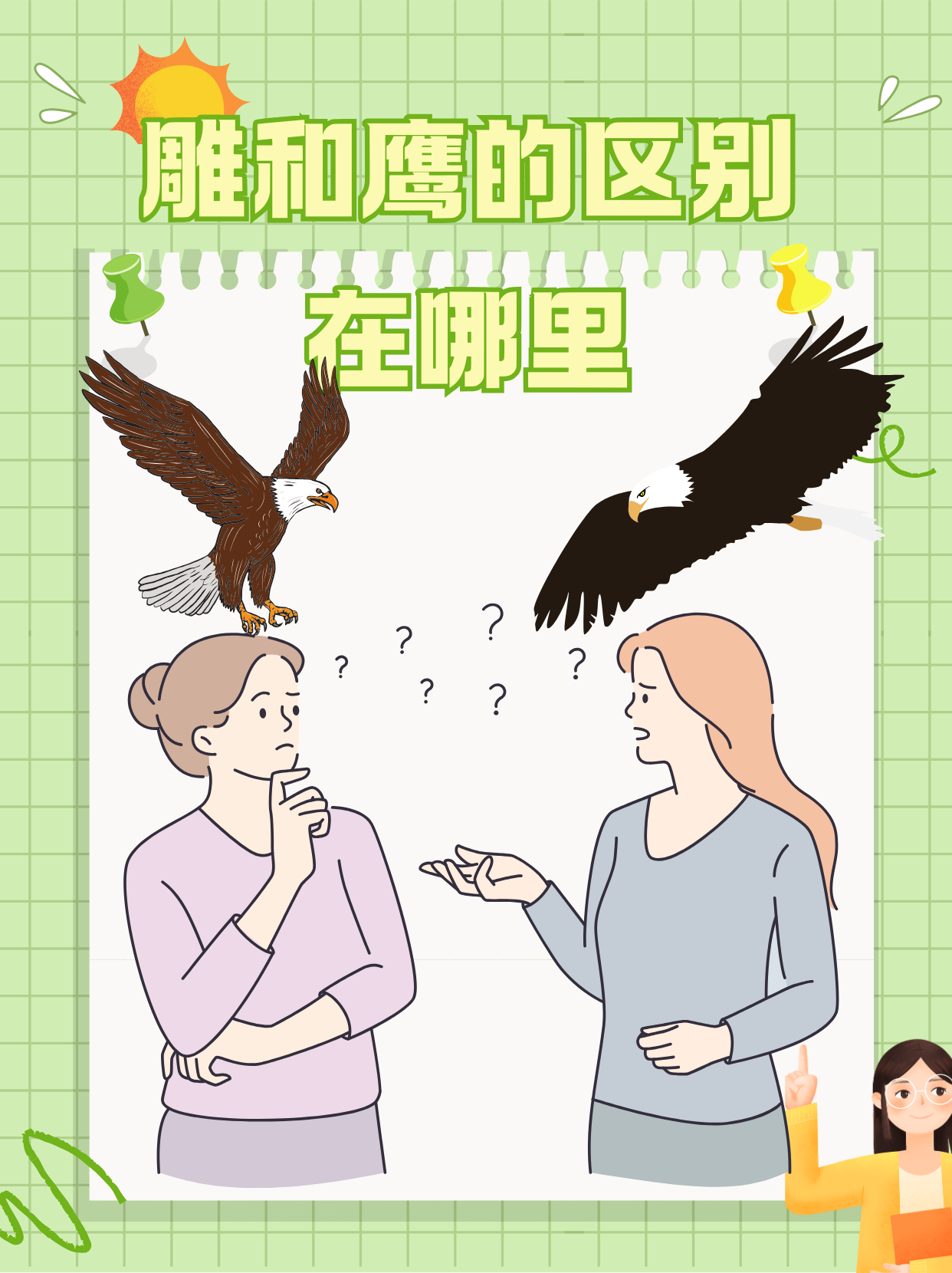 鹰的分布广,中国境内的鹰主要分布区为西藏,新疆