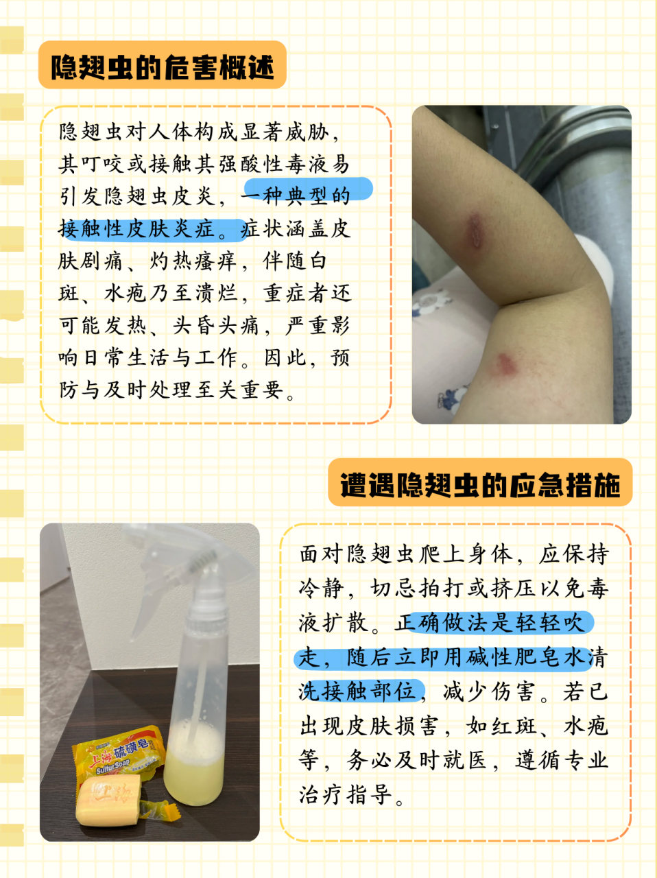 家里出现隐翅虫怎么消灭  二,隐翅虫的危害   隐翅虫的危害主要体现在