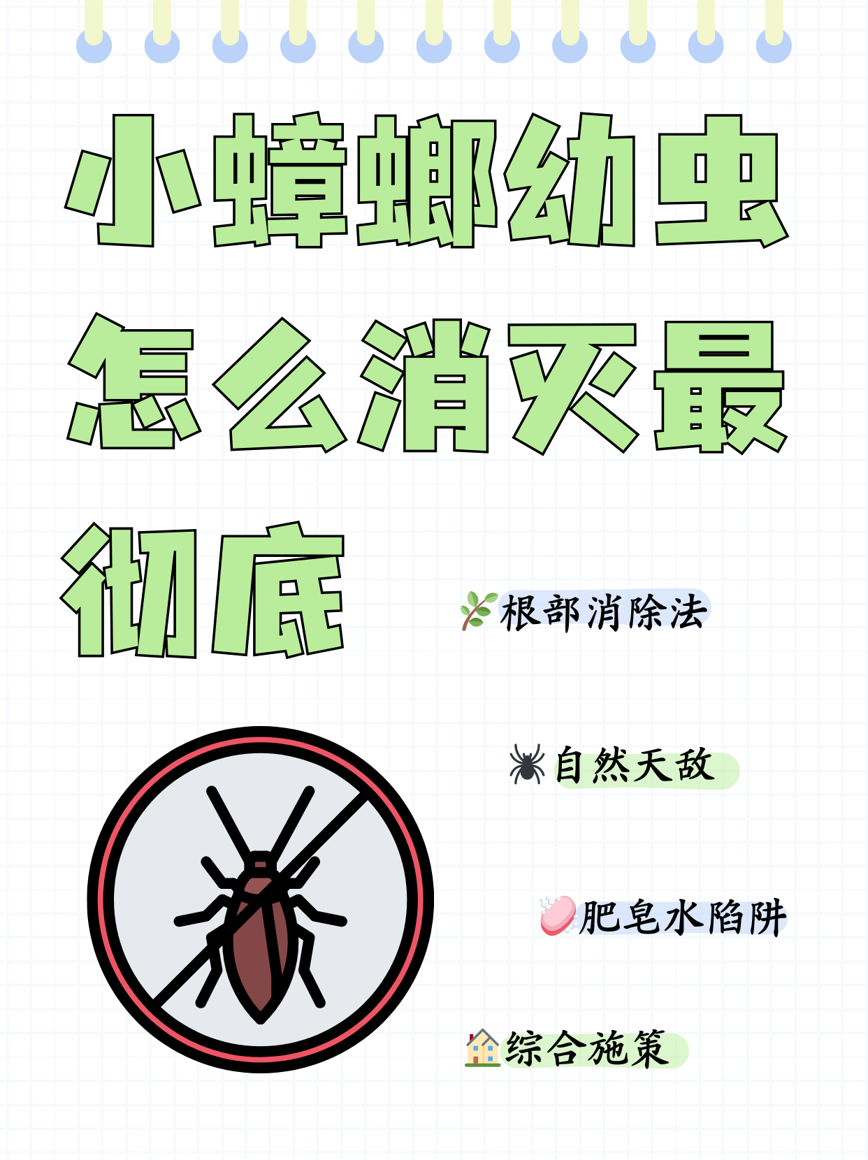 小蟑螂幼虫怎么消灭最彻底