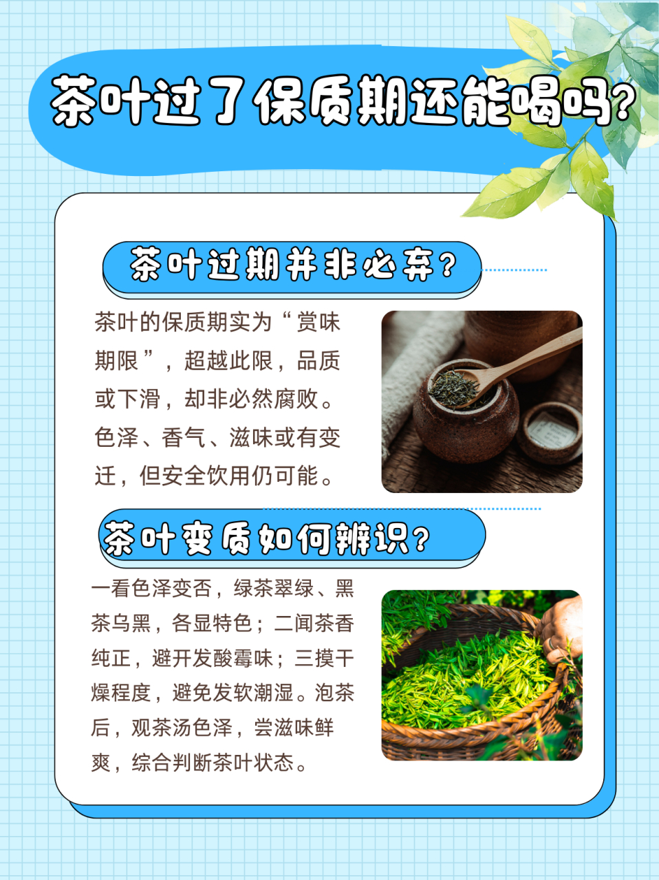 茶叶棵有保质期吗（茶叶棵子的图片功效与作用） 茶叶棵有保质期吗（茶叶棵子的图片功效与作用） 茶叶资讯