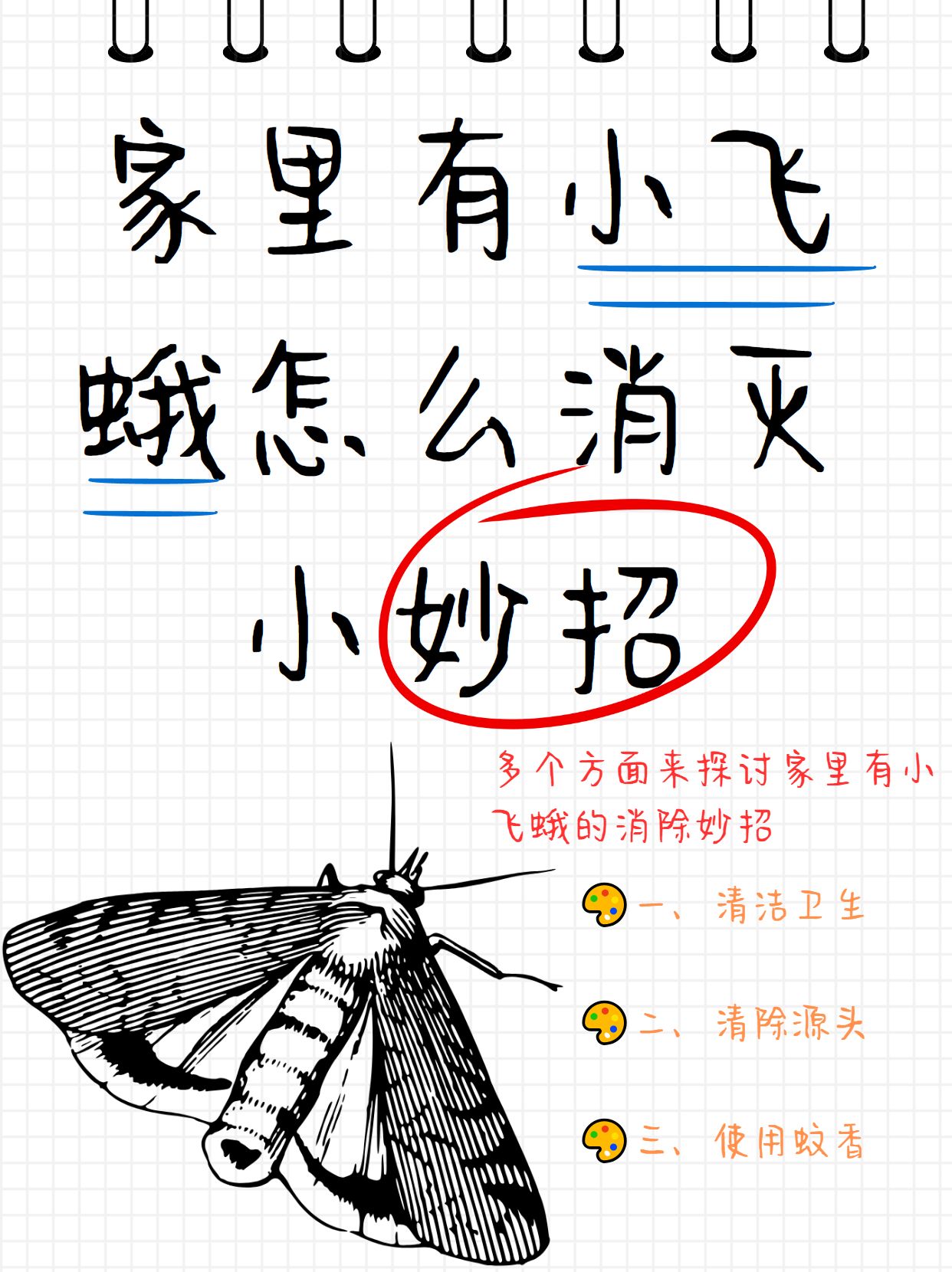 家里有小飞蛾怎么消灭小妙招