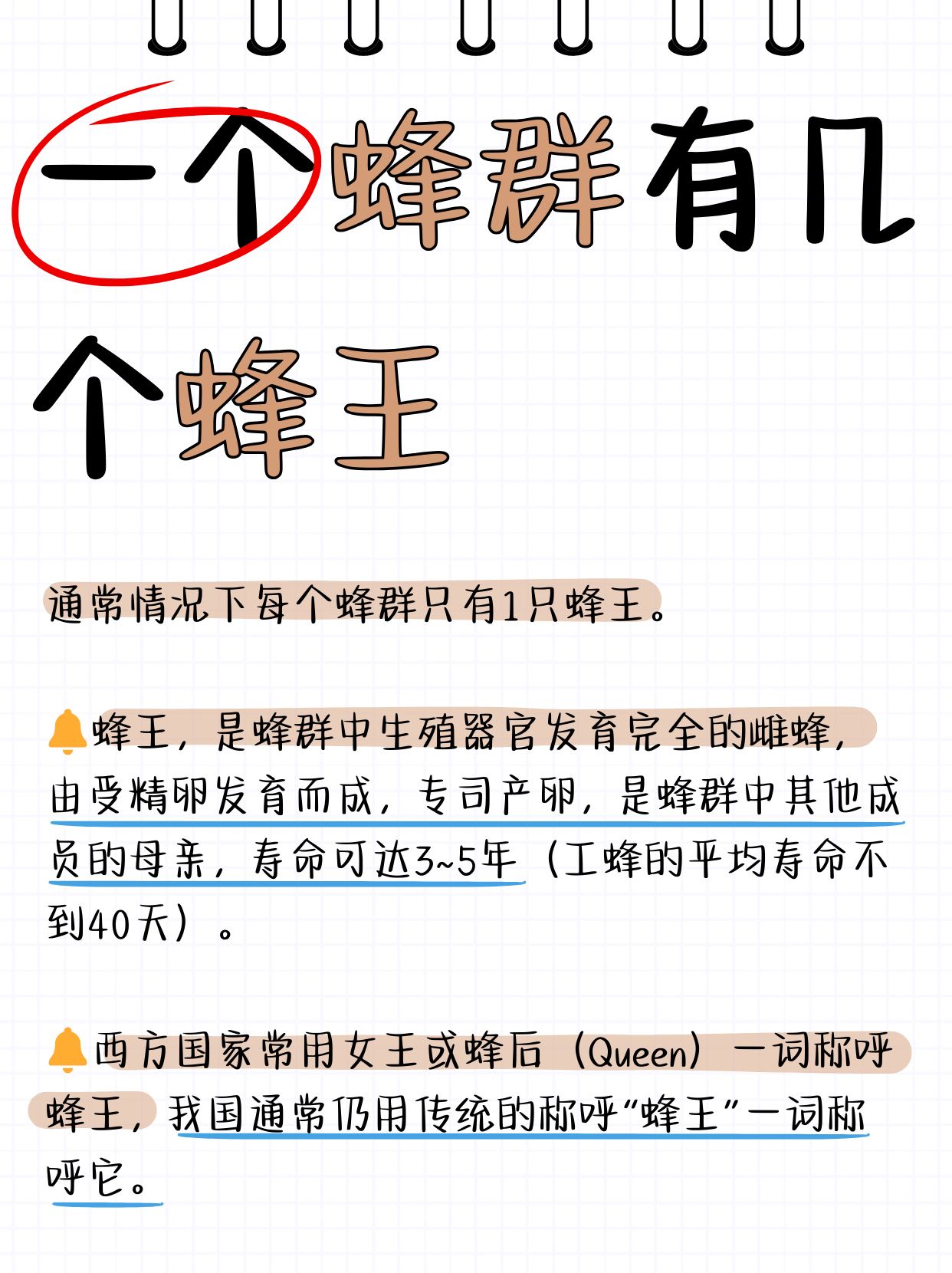 一个蜂群有几个蜂王  通常情况下每个蜂群只有1只蜂王