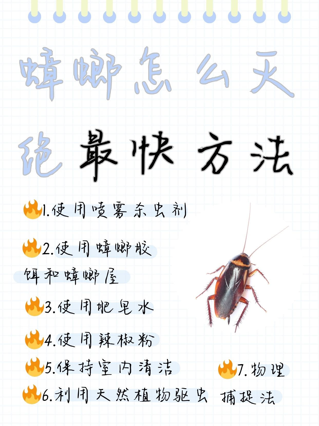 杀死蟑螂的方法有很多种,以下是一些常见且