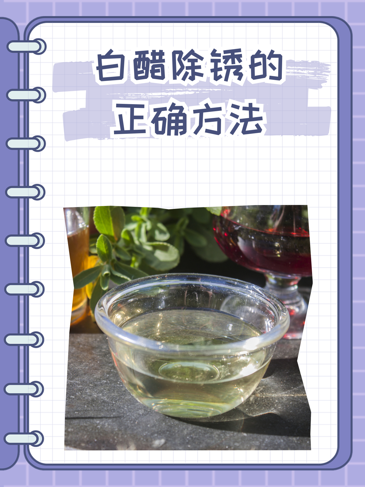 白醋治便秘最快方法早上(白醋治便秘最快方法早上空腹喝)