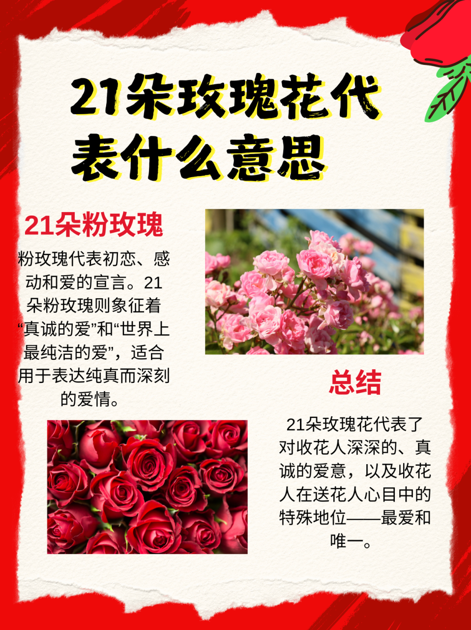 1朵玫瑰花含义图片