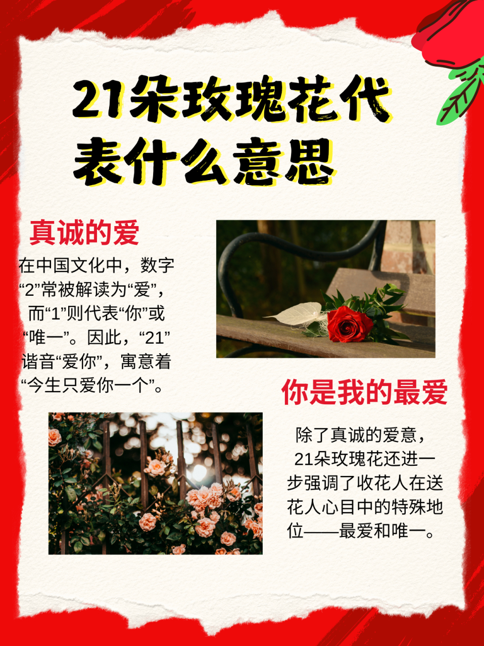 1朵玫瑰花含义图片