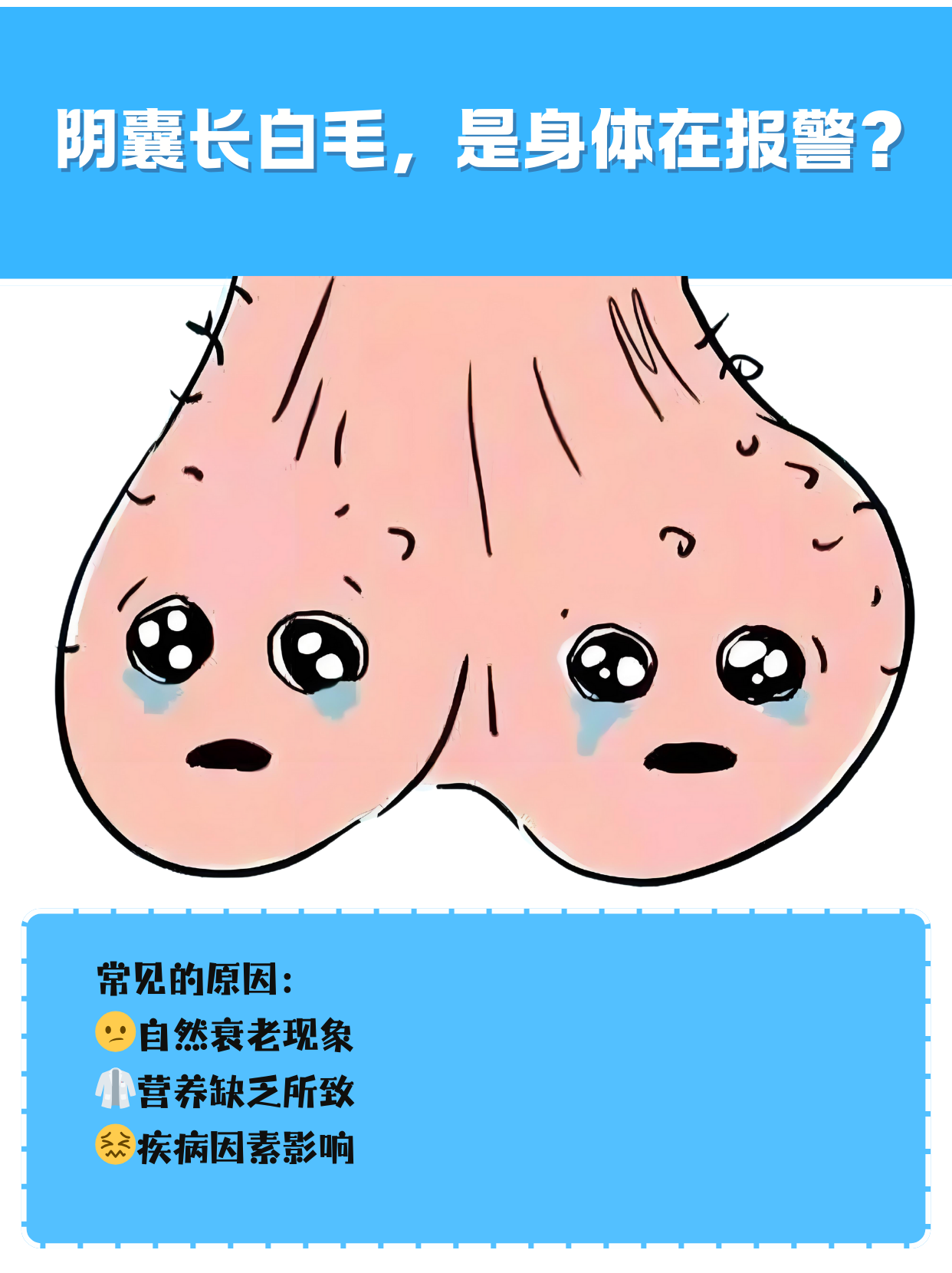 阴囊白毛原因可能有: 自然衰老现象 营养缺乏所致 疾病因素影响