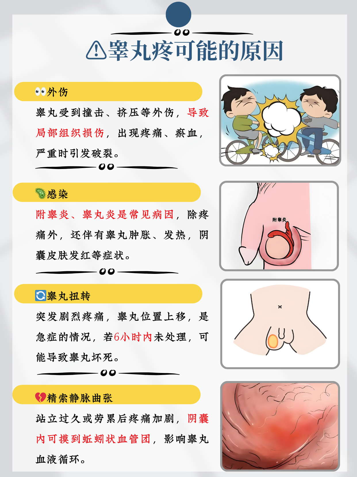 睾丸疼为什么会腰也疼百科在线 睾丸疼为什么会腰也疼百科在线