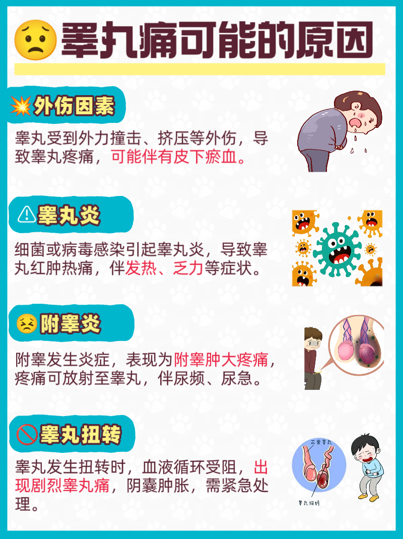 北医三院、东城区号贩子挂号电话，挂不上的都找我的简单介绍