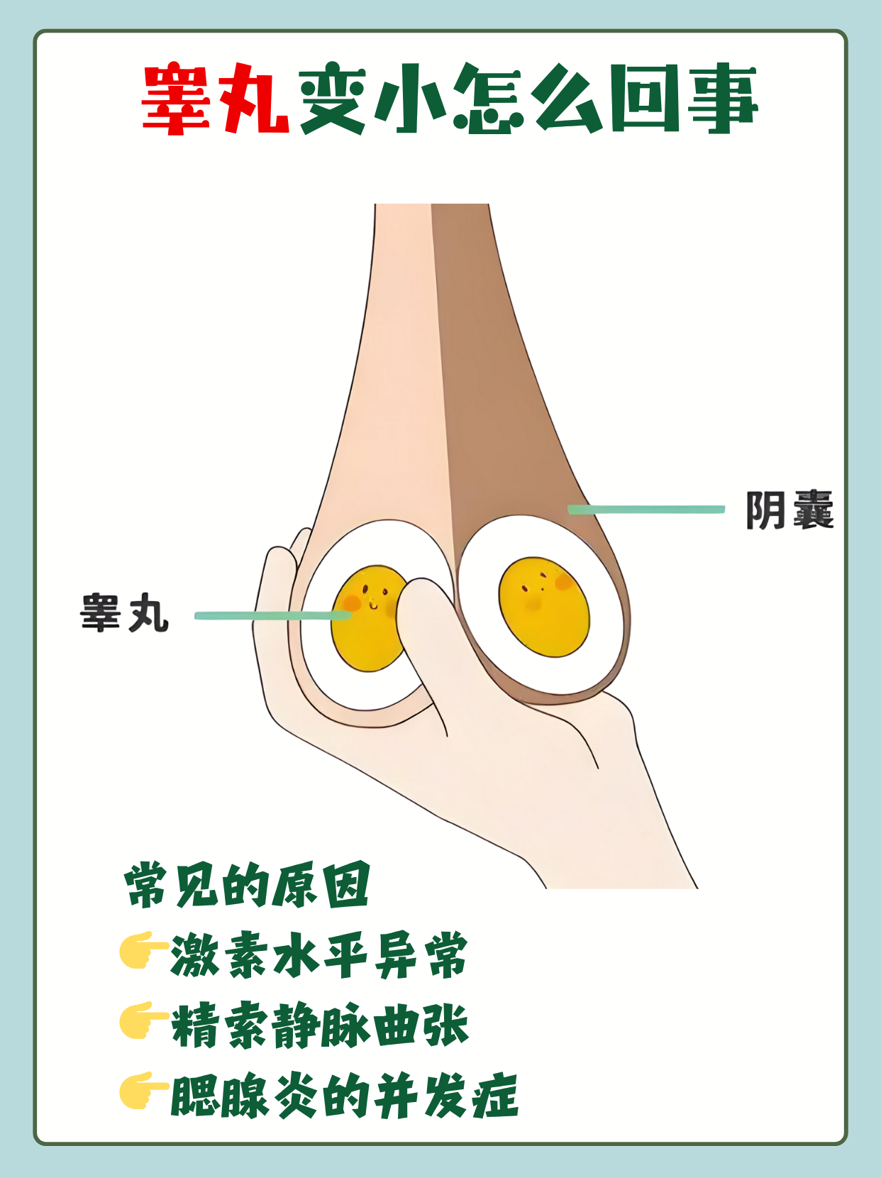 睾丸变小可能是男性健康的一个警示信号,涉及激素