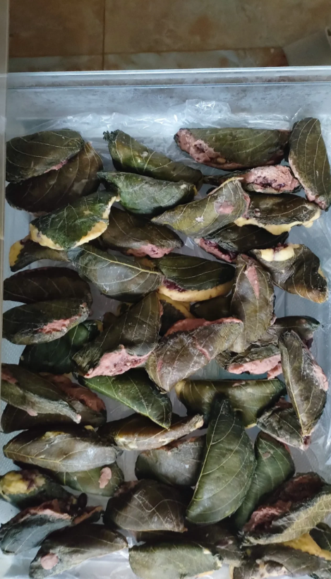 这些饺子是用苏子叶包的,有黄米面和粘高粱米面两种面粉,馅儿是红小豆