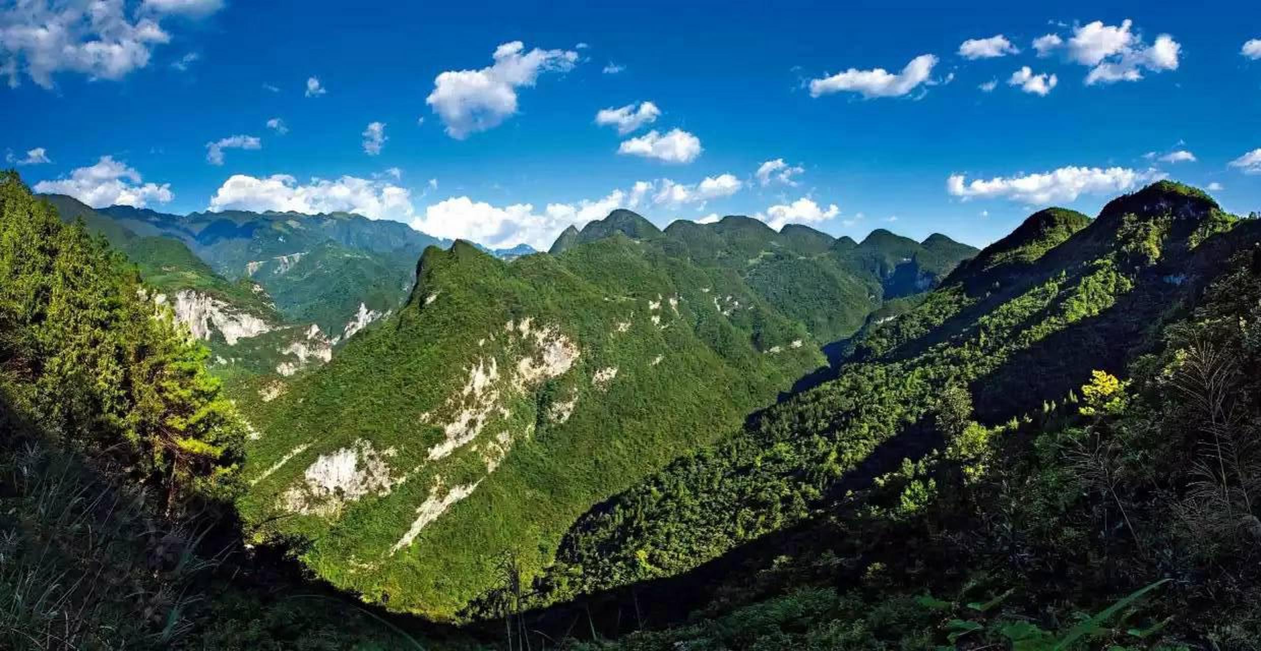 秦岭-大巴山,它不仅是南方和北方的分界线,北亚热带和暖温带的