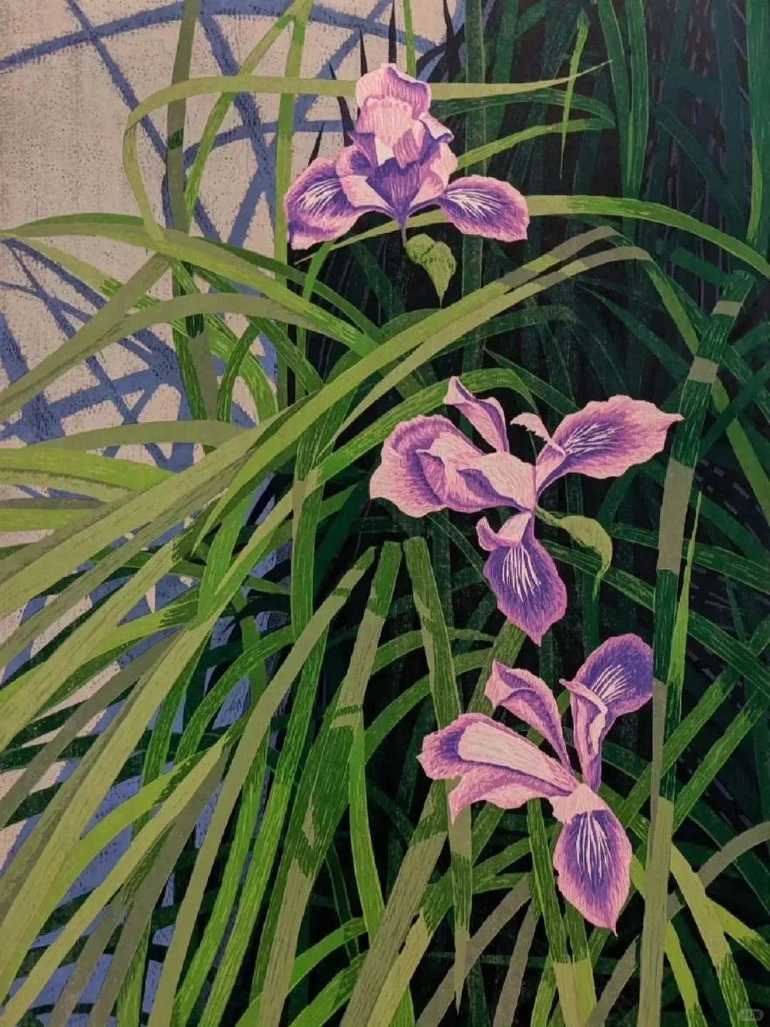 花卉木版画艺术