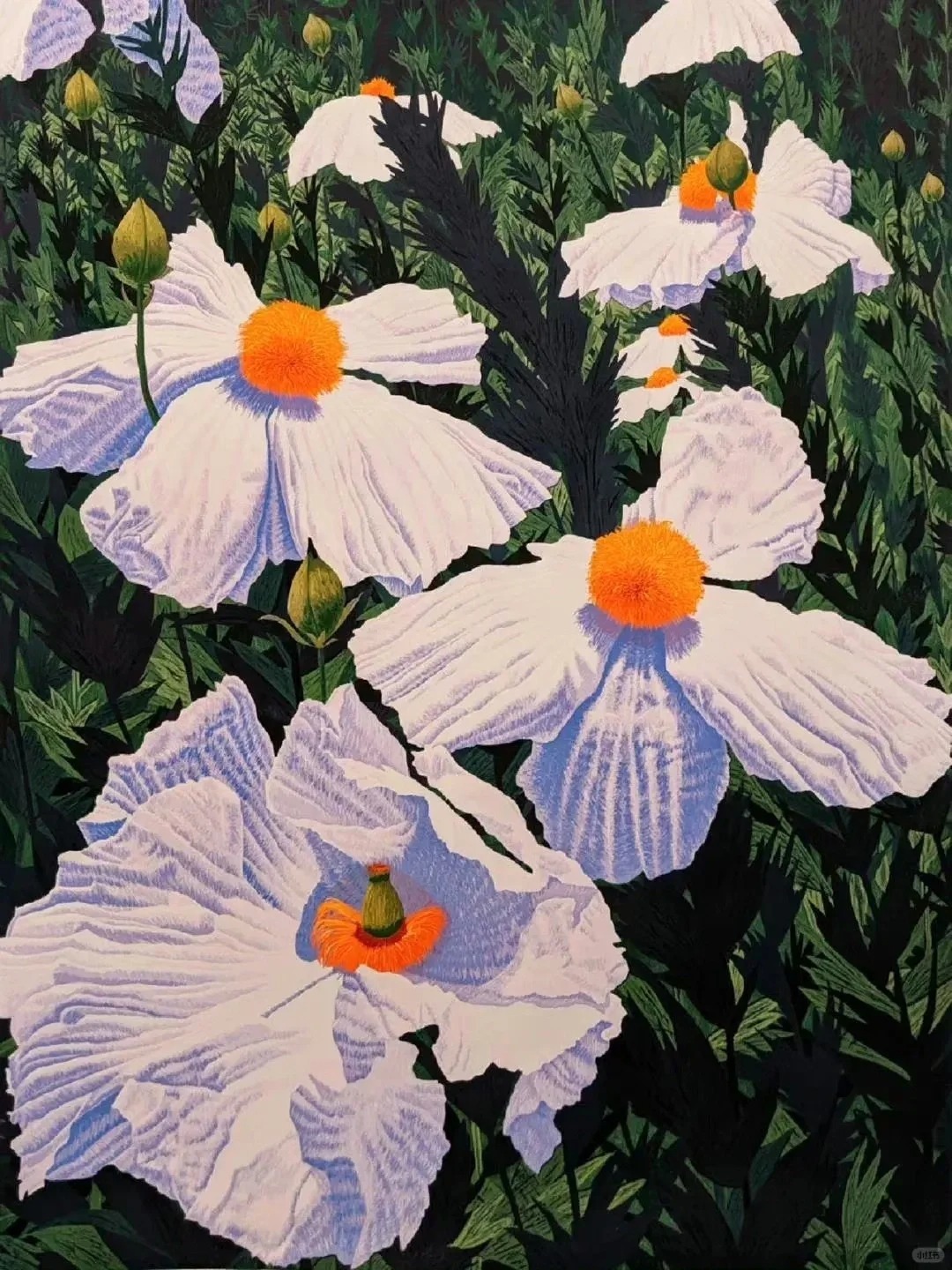 花卉木版画艺术