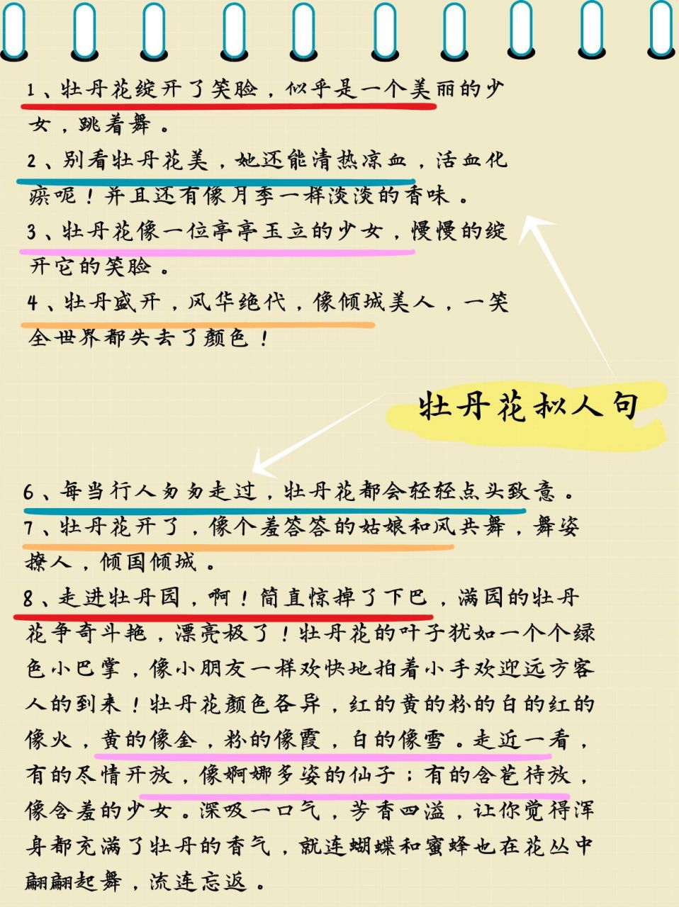 牡丹花像什么比喻句图片