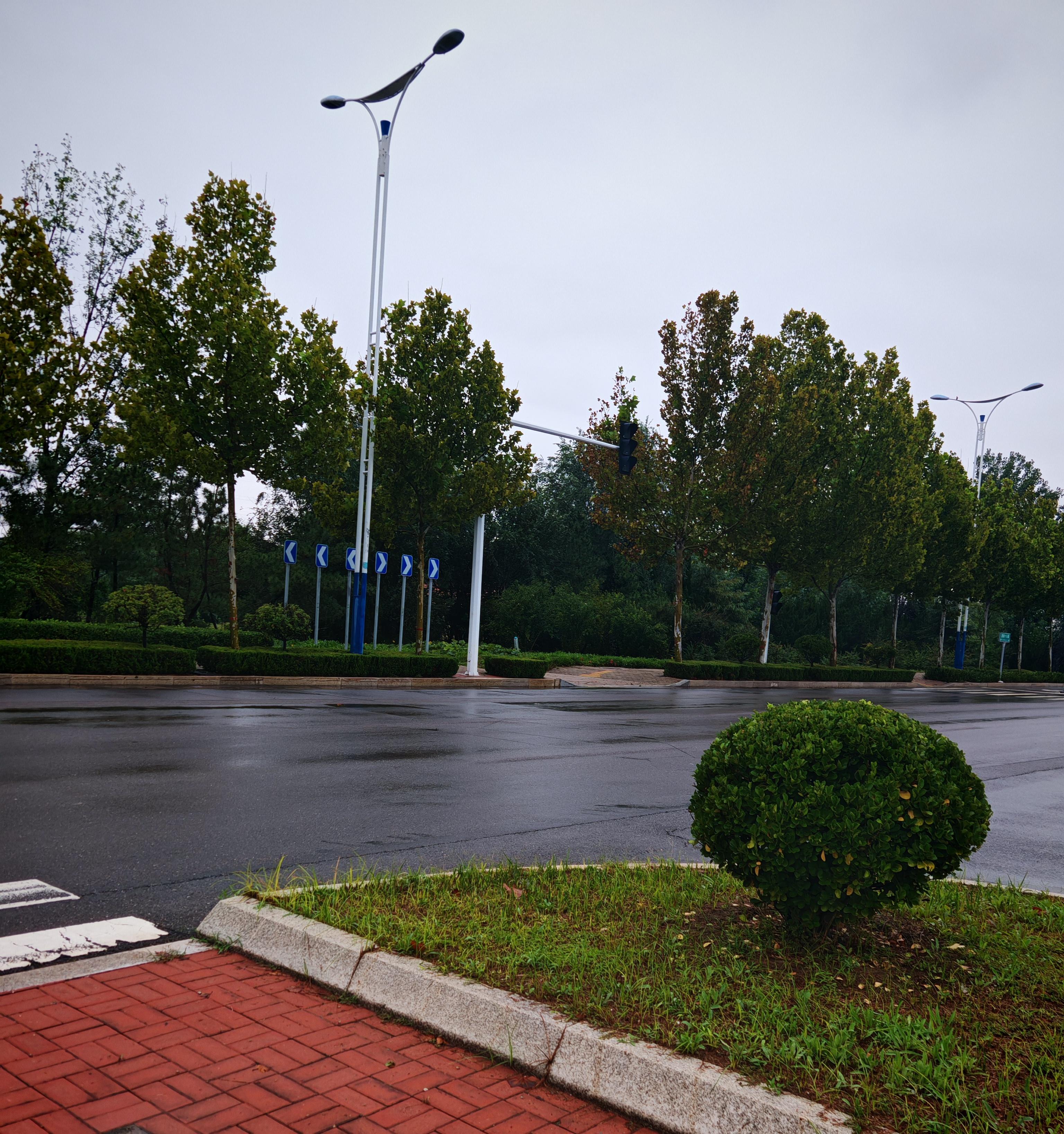 黄金周变成连续阴雨天.山东下雨不断,农田满是积水