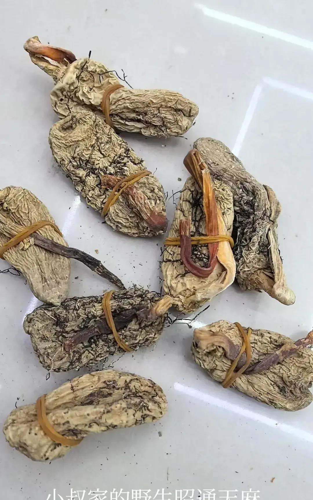 我问怎么不去了?可以去啊! 某人回不去,我难得跑进跑出了