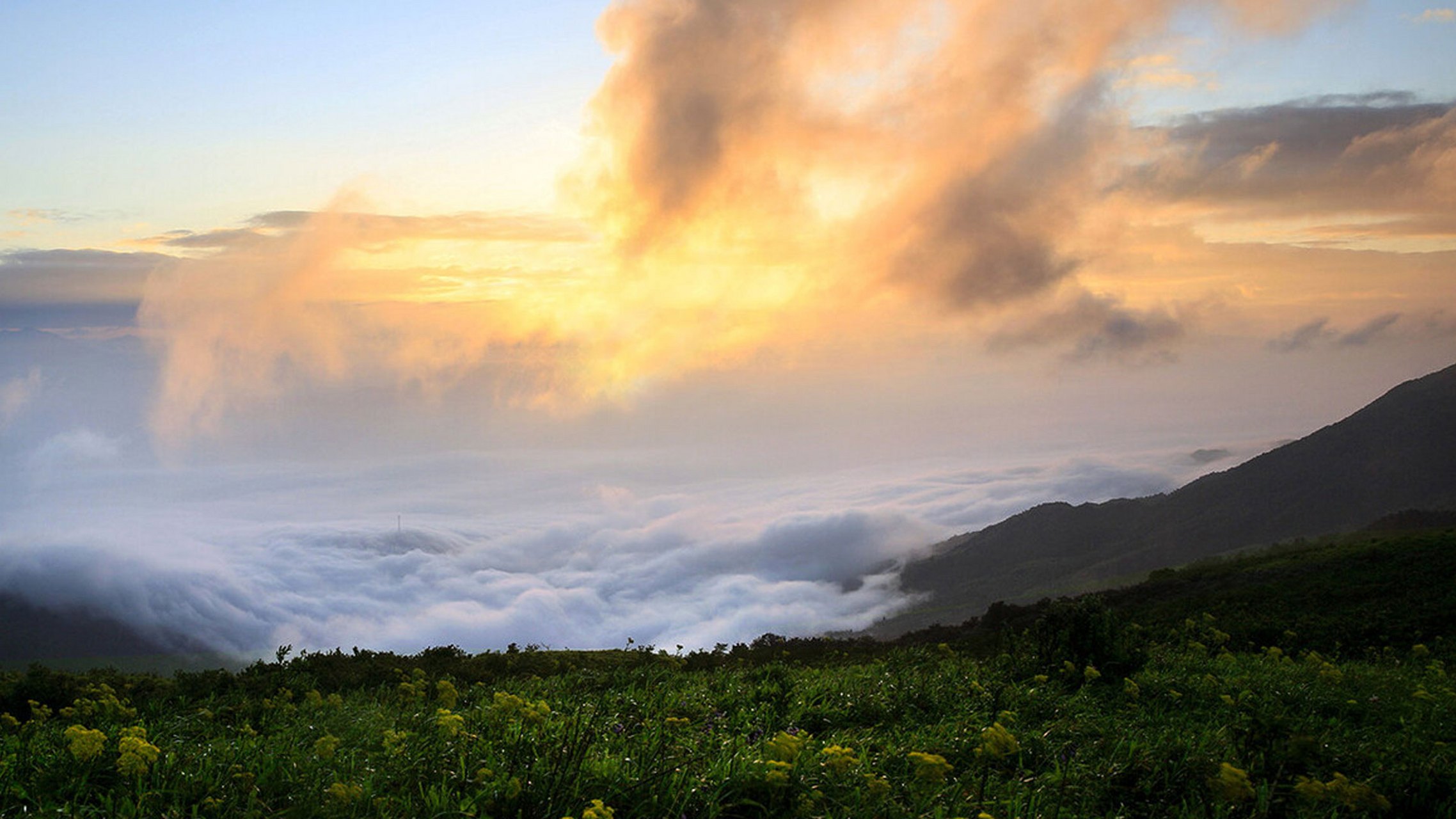 的国家自然保护区,山川壮美,草木葱茏,仿佛是大自然精心雕琢的画卷