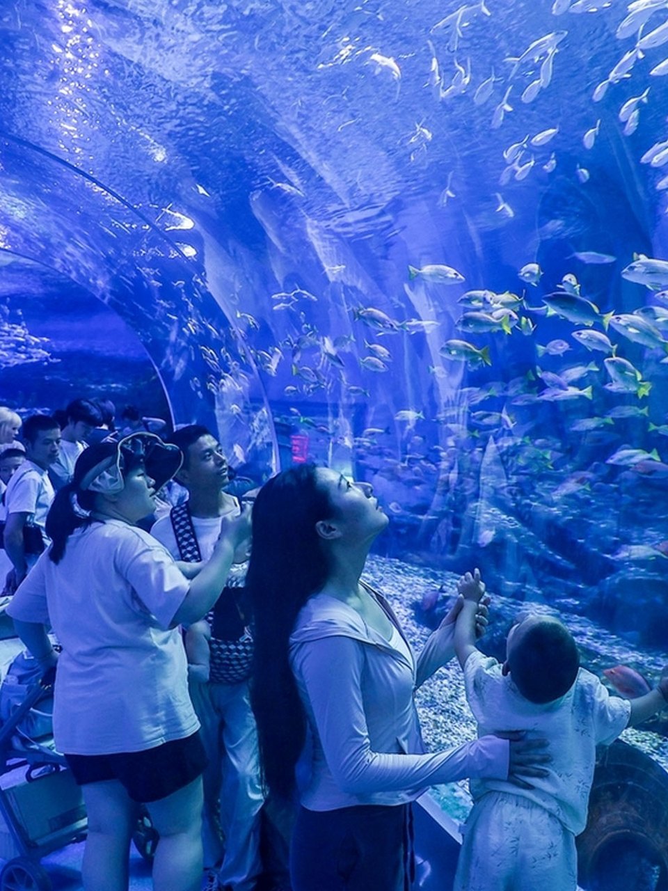 随着暑期旅游旺季来临,昆明融创海世界迎来了它最为绚烂的旅游旺季