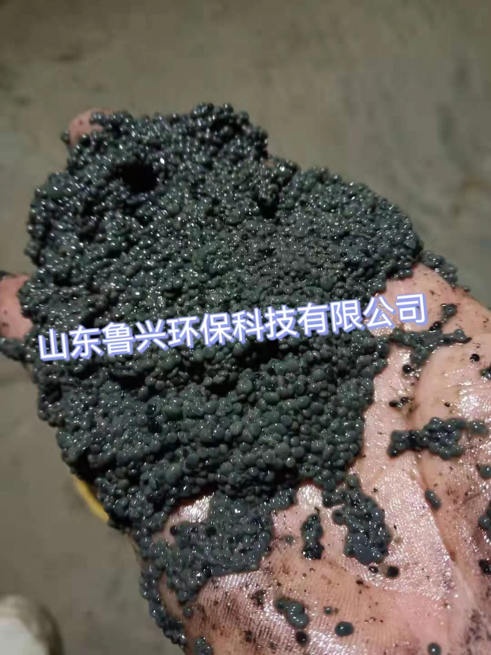 厌氧颗粒污泥,在污水处理与生物工程技术领域,它可是扮演着举足轻重的