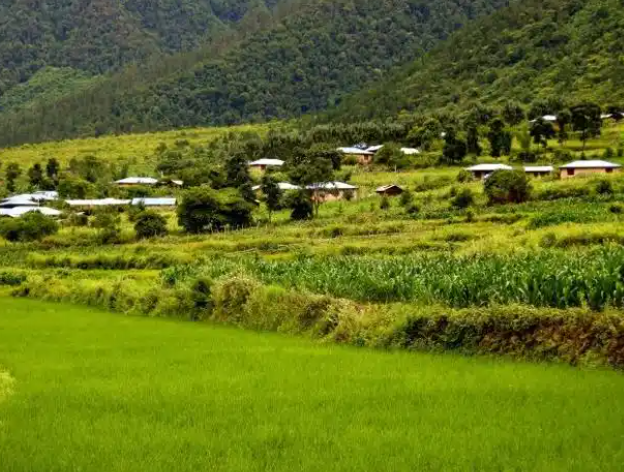 整理了超全攻略 出行方式: 自驾:林芝→察隅县 6h,导航 "下察隅镇"