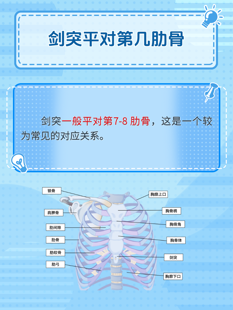 隆突在什么位置图解图片