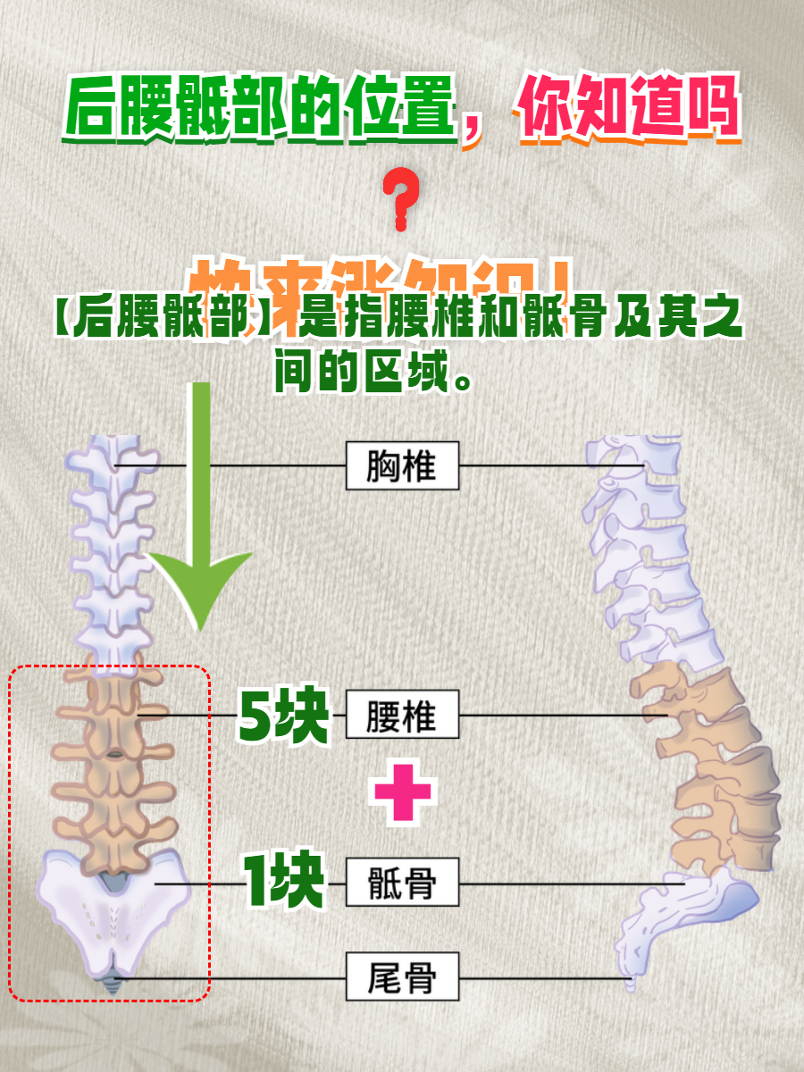 后腰骶部是人体一个重要的部位,但很多人对它并不熟悉