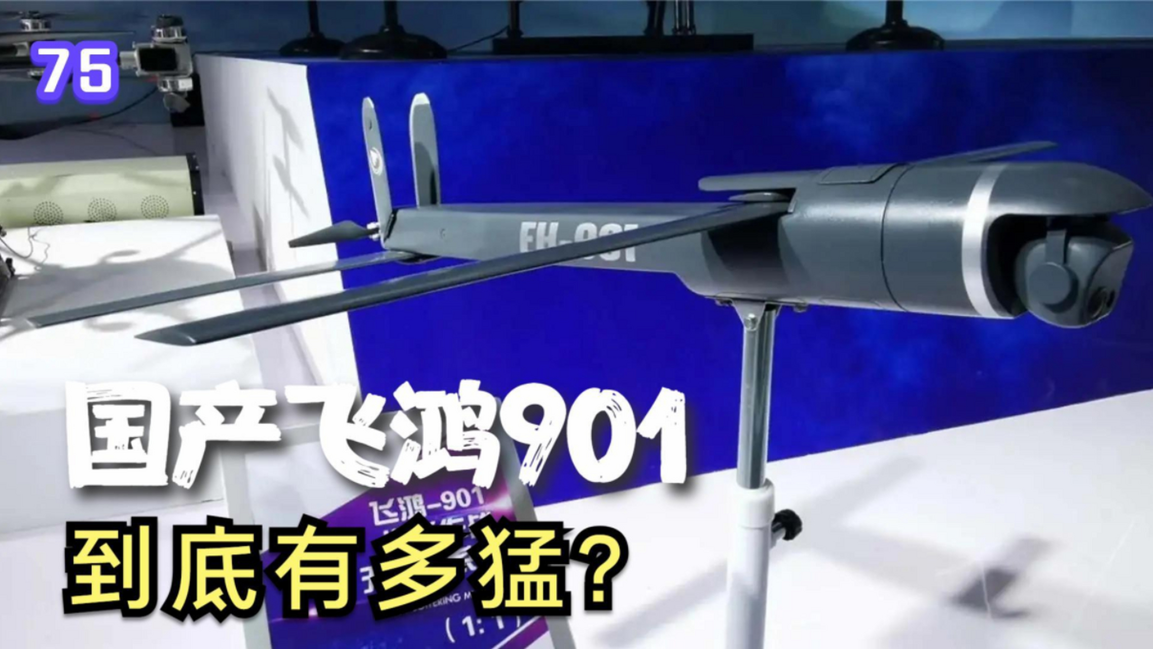 中国版本的"弹簧刀"自杀式无人机,名为飞鸿901,这款自杀式无人机已经