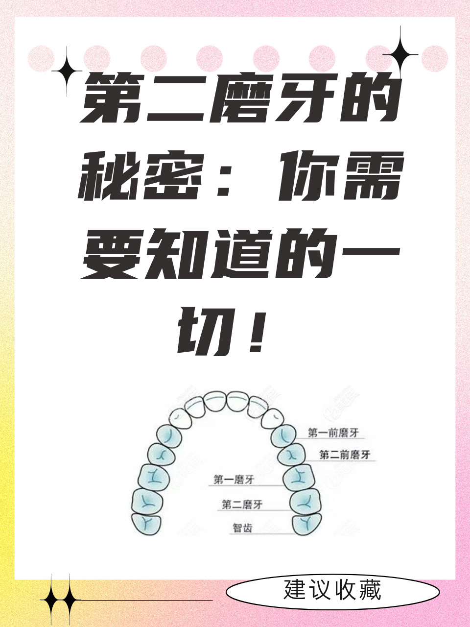 人为什么磨牙 人为什么磨牙