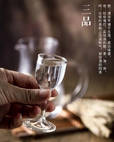 学习如何品鉴白酒,不仅能提升你的品酒技能,还能让你更好地享受白酒的