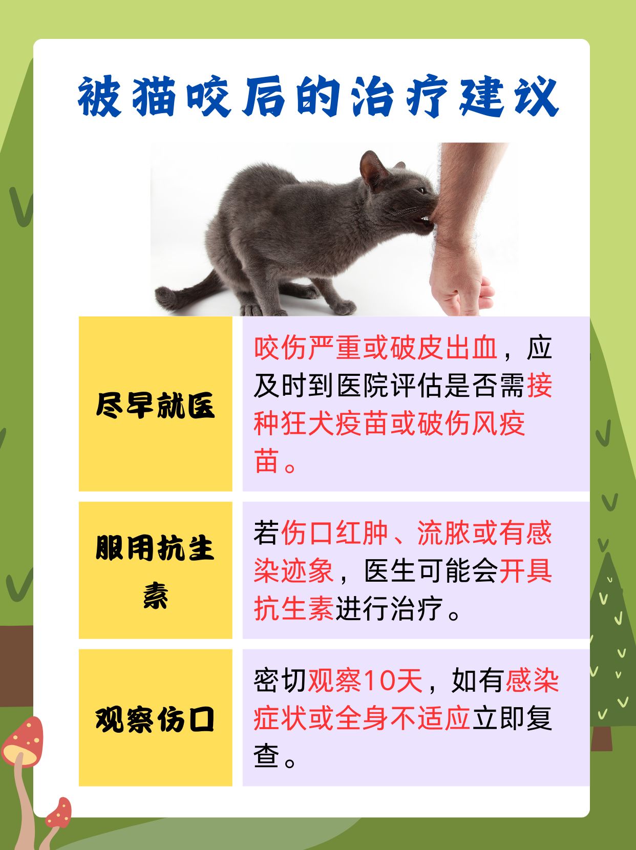 小猫为什么咬人 小猫为什么咬人