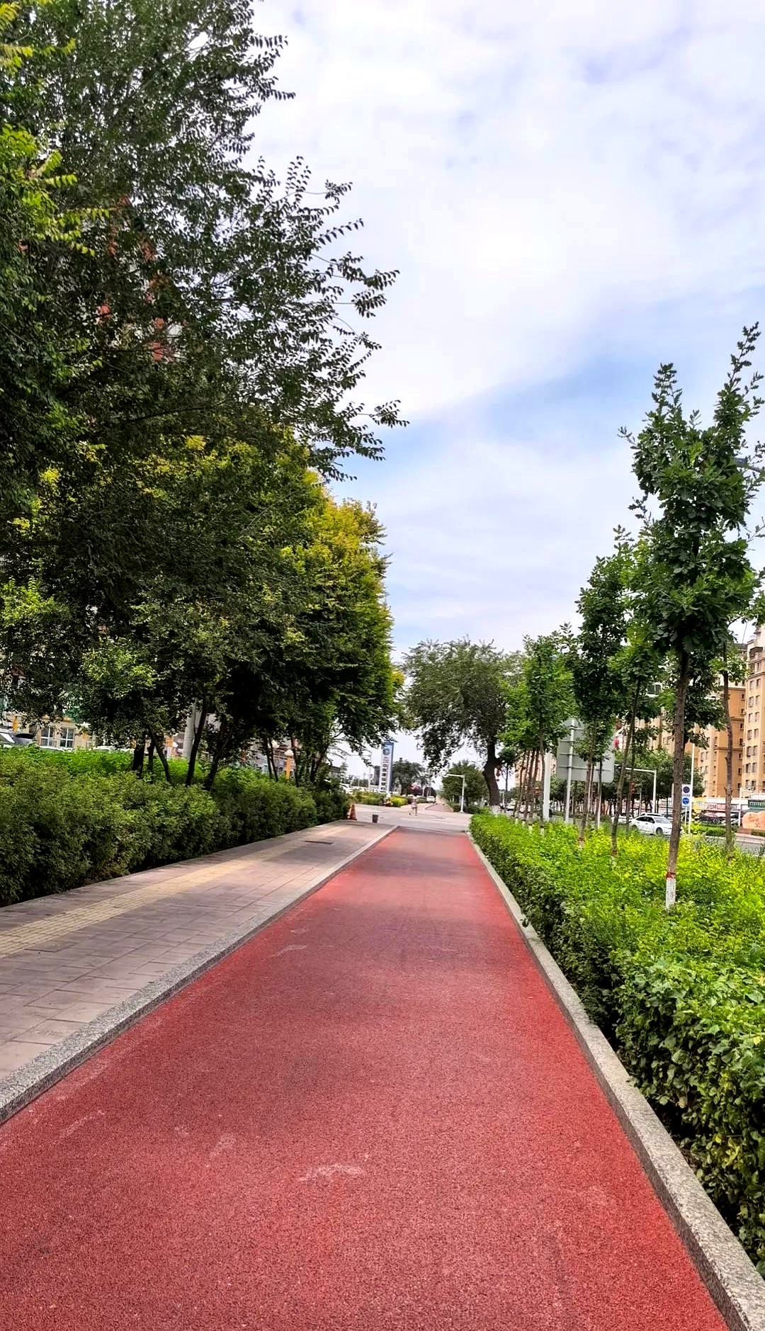 周三打太极 60%的人退休3年就崩溃 躺平比加班更累