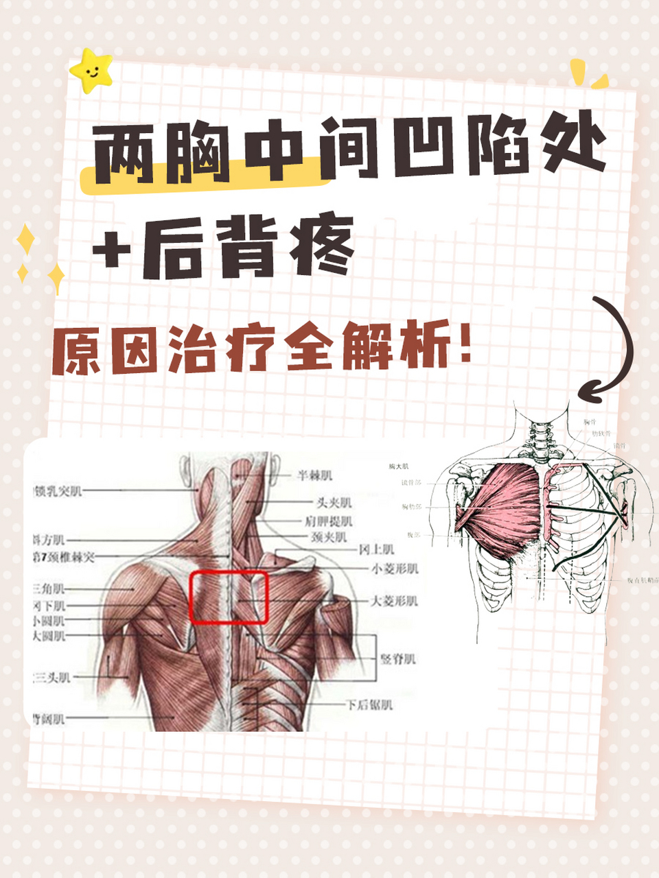 胸中间凹陷处图片