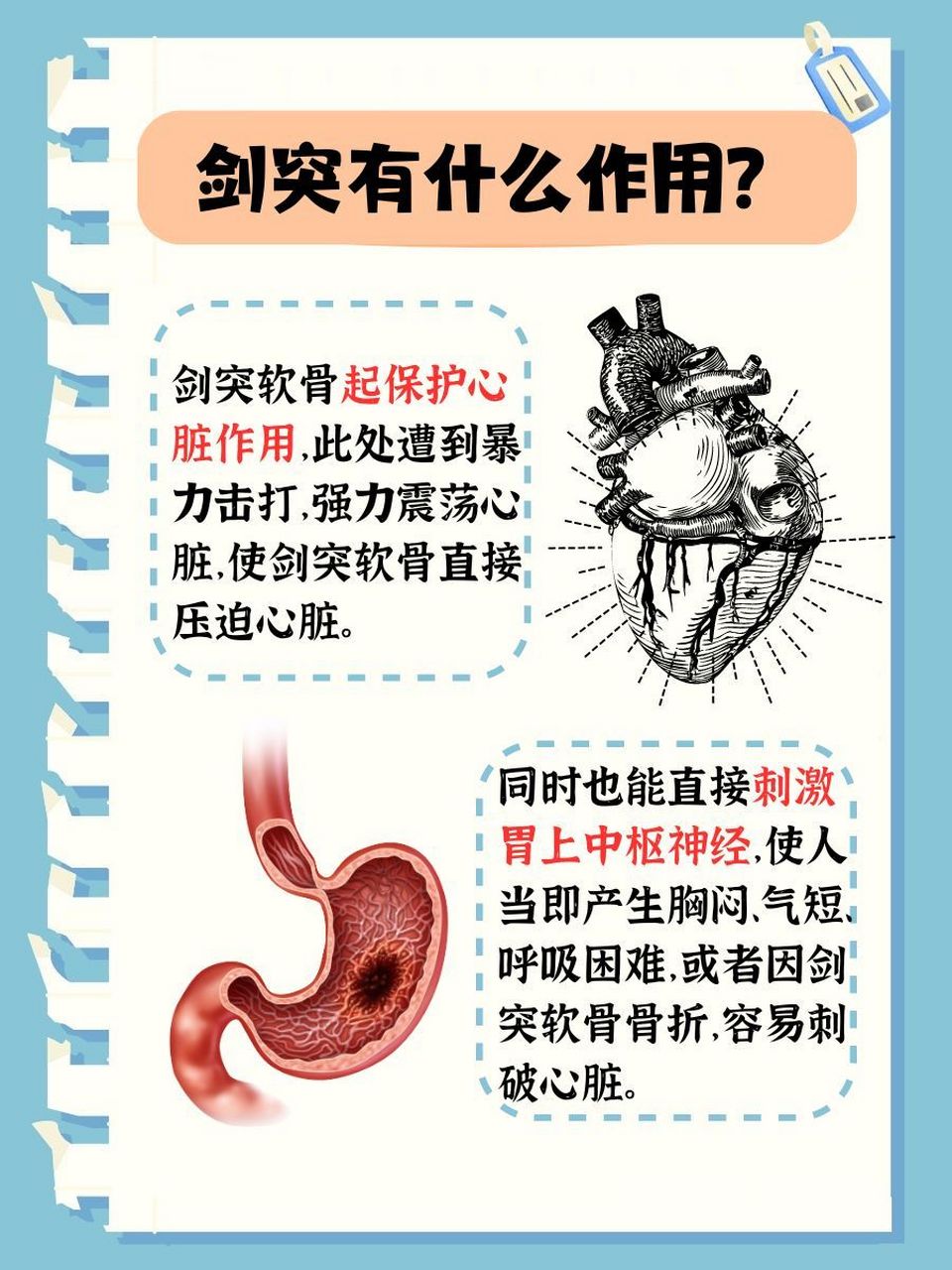胸骨剑突,你知道它对应哪几节胸椎吗?