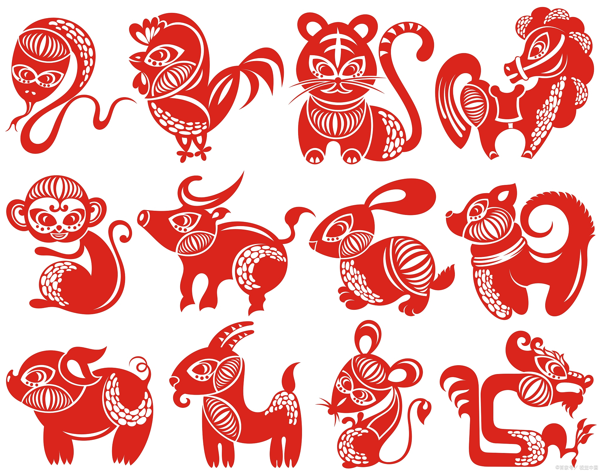 五光十色指什么生肖（五光十色指什么生肖动物） 五光十色指什么生肖（五光十色指什么生肖动物） 卜算大全