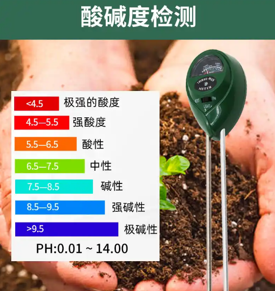 初中化学碳酸钠为什么显碱性为什么在线