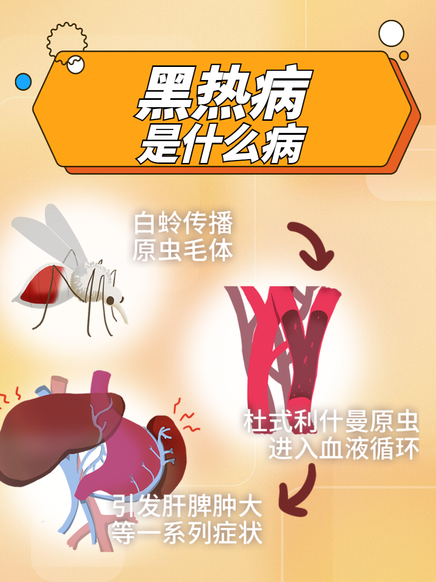 为什么某些疾病在某些地区更常见？