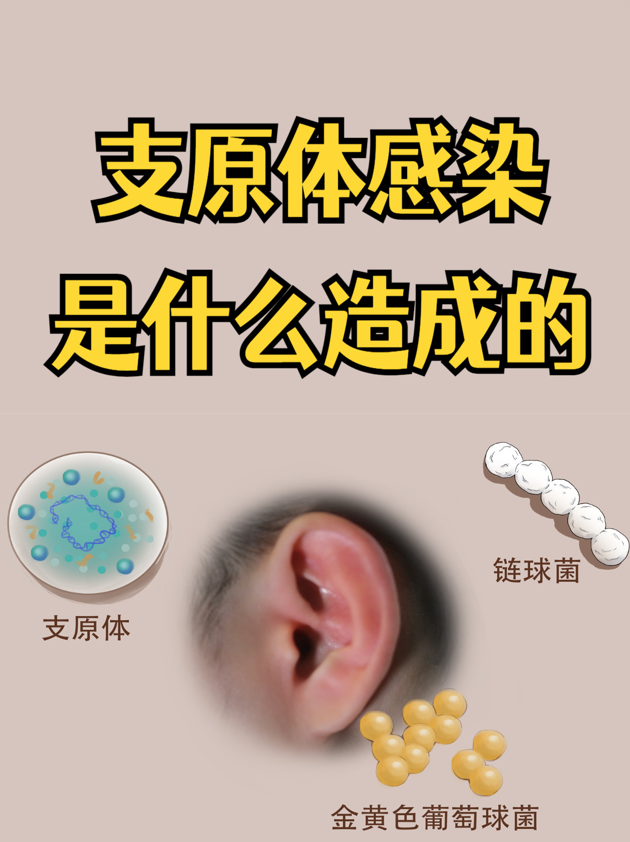  现在流行病毒叫什么名字是支原体还是衣原体(现在流行病毒的症状)