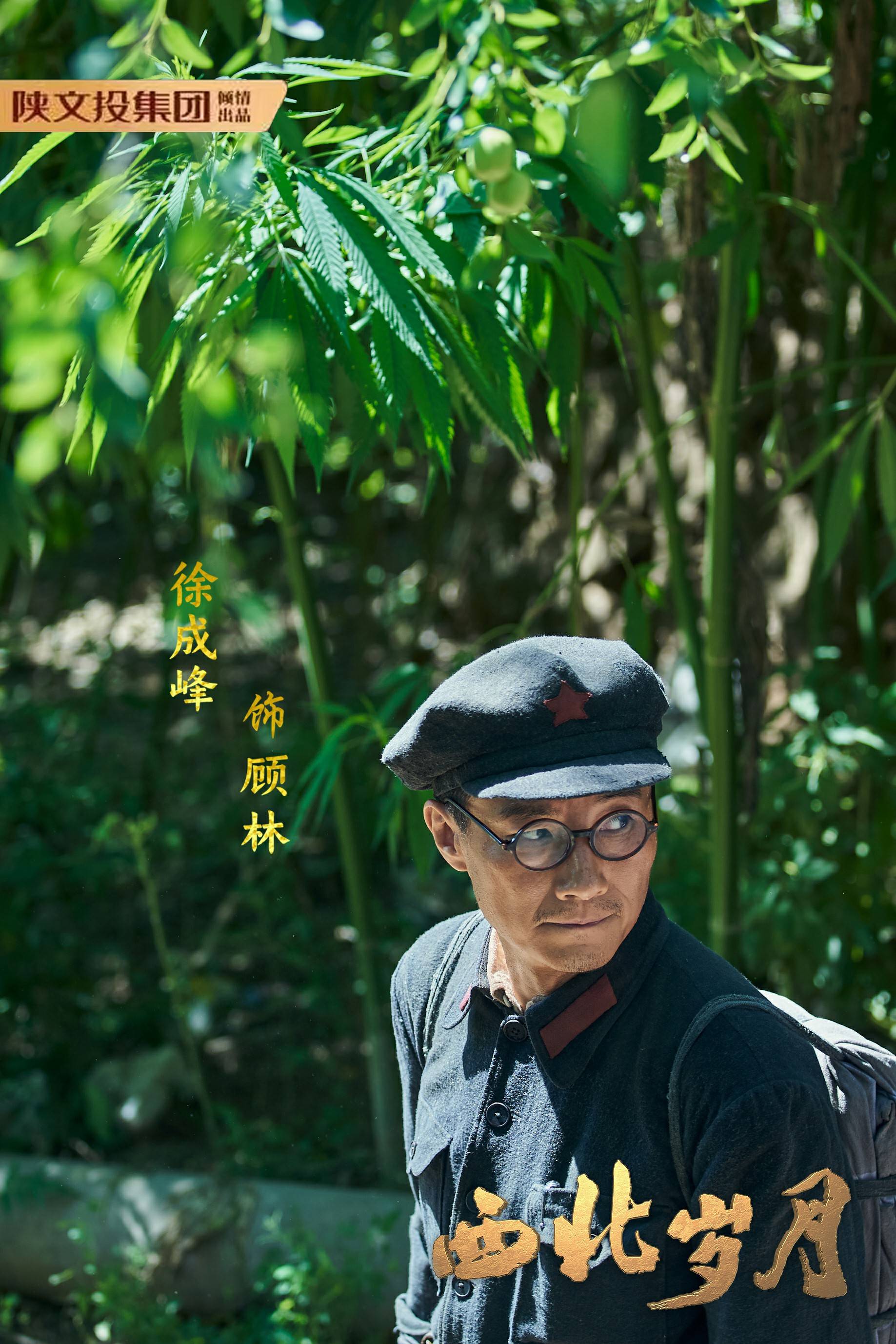 顾林的结局