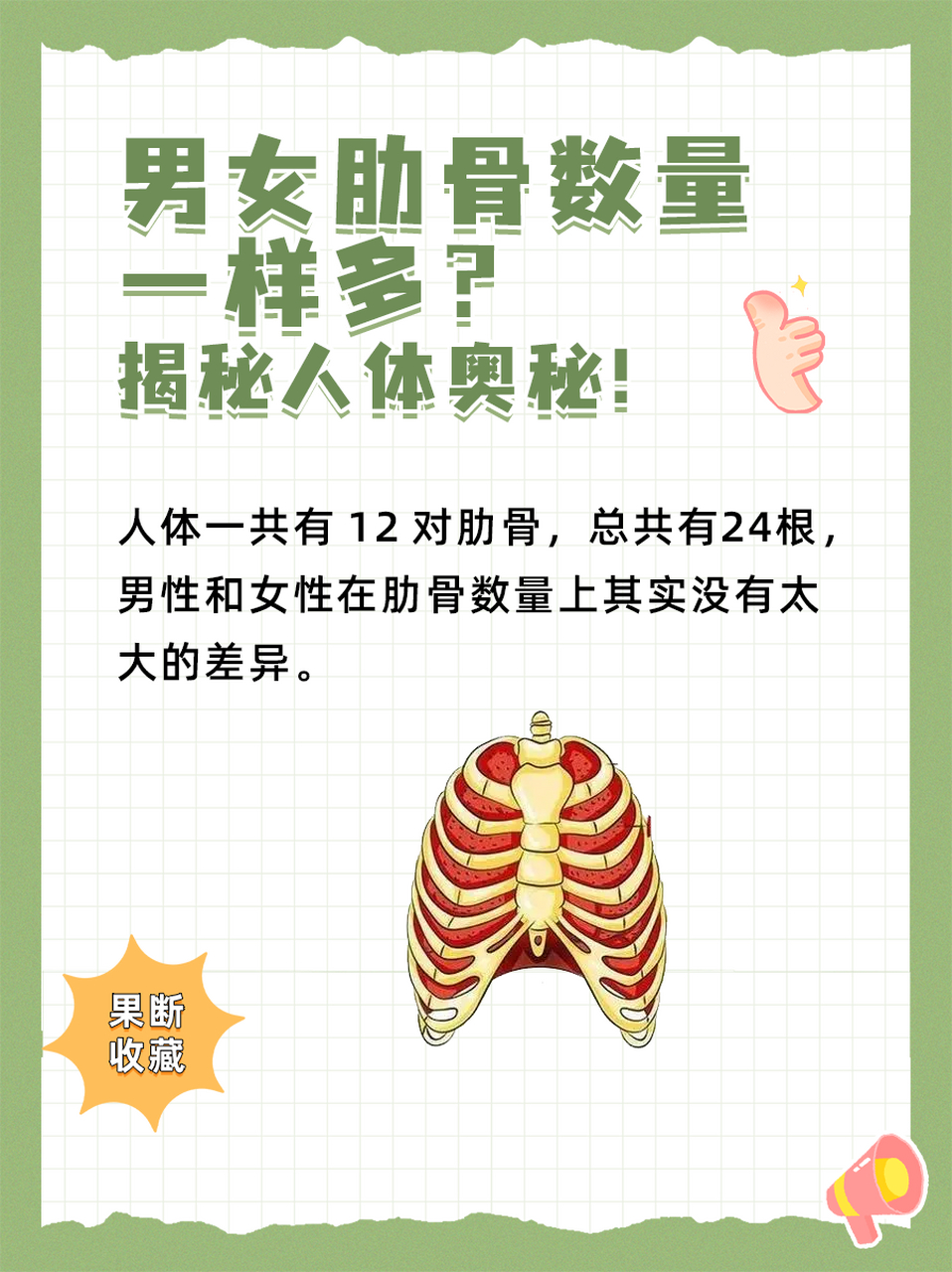 男女肋骨数量一样多?揭秘人体奥秘!