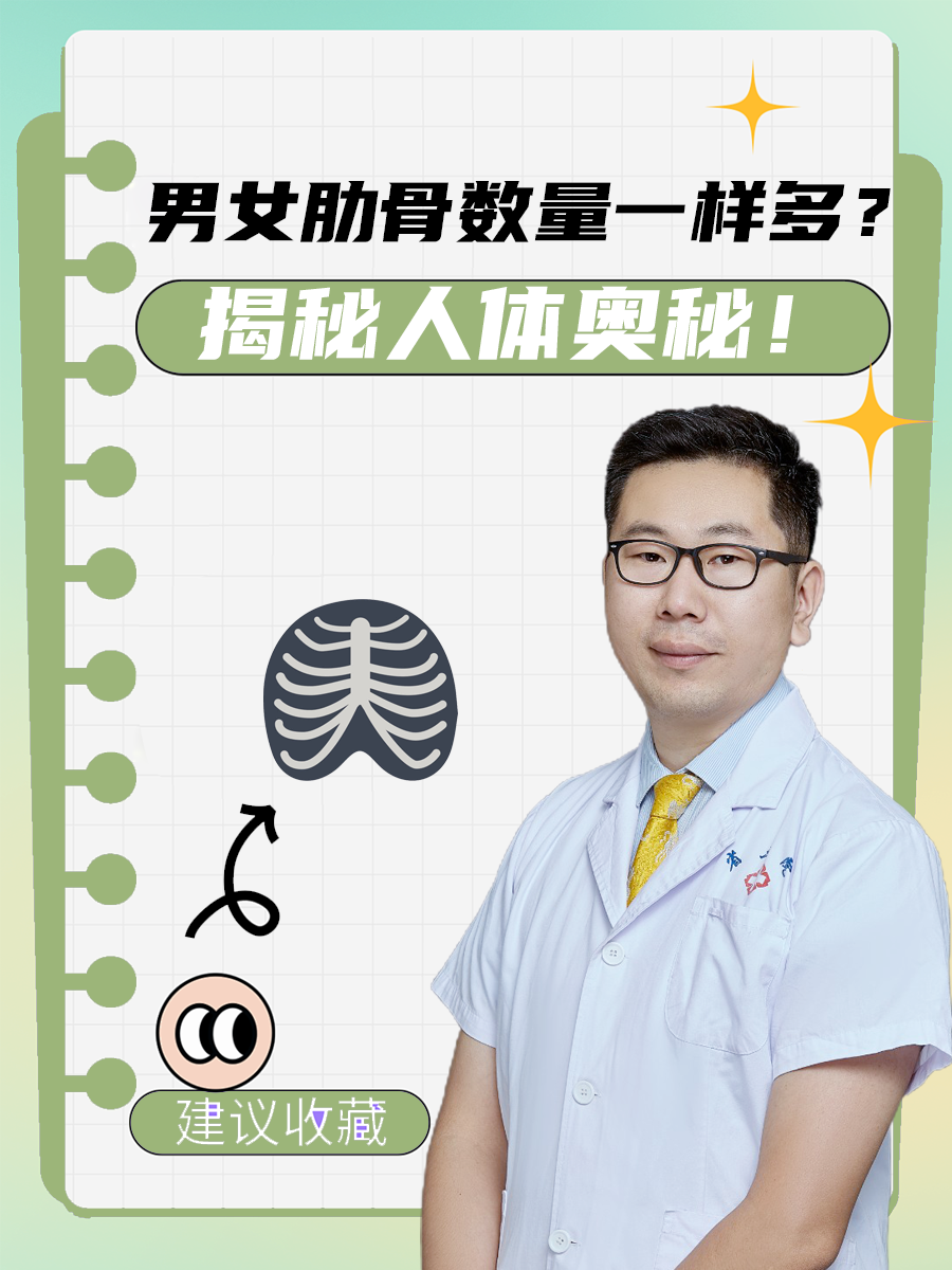 男女肋骨数量一样多?揭秘人体奥秘!  肋骨是人体胸廓的重要组成部分.