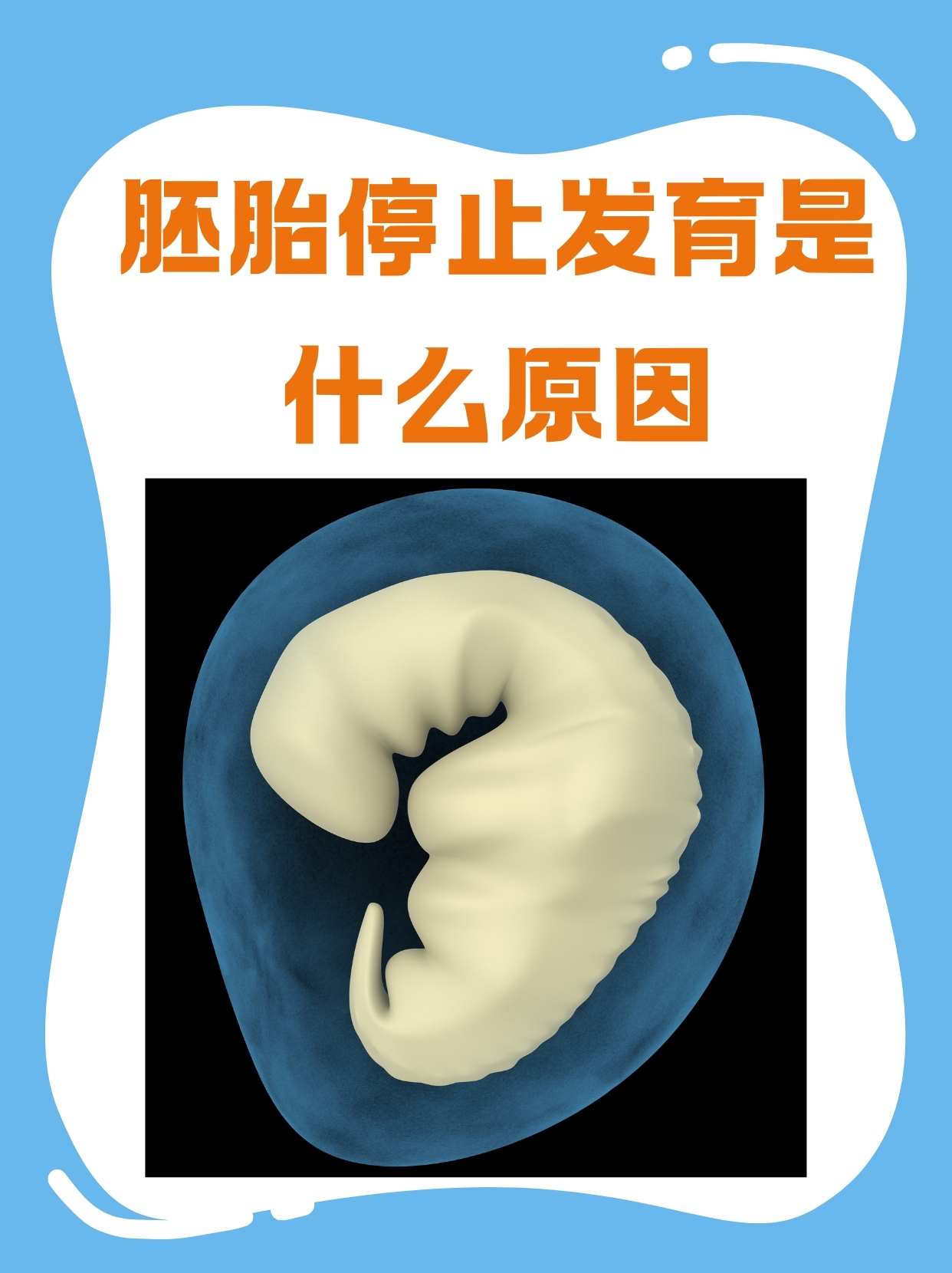 胚胎停育还会有妊娠反应吗_胚胎停育后妊娠反应会消失吗  第2张
