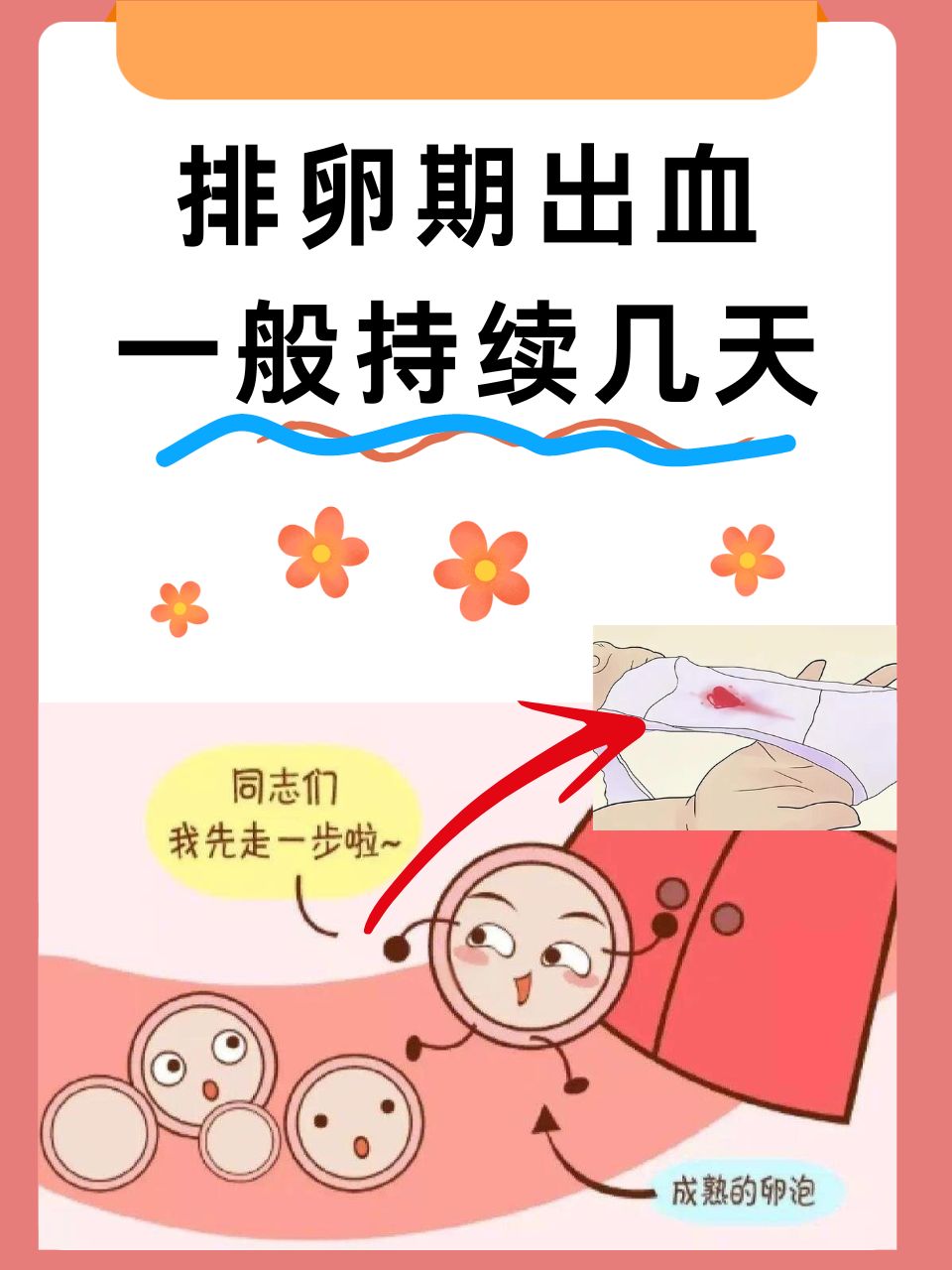 2025年8月15日 第31页
