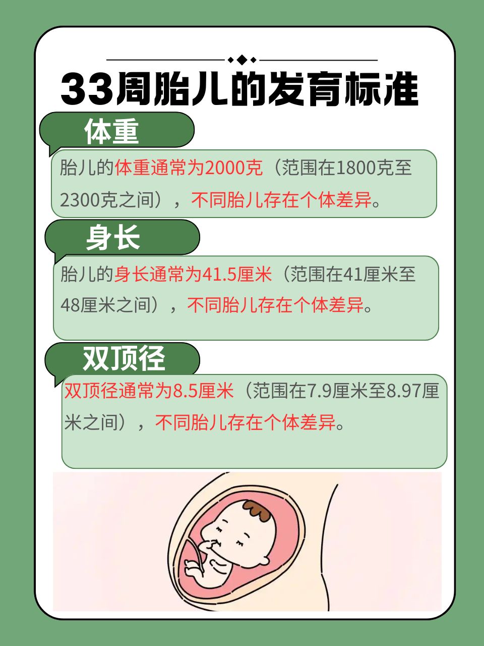 33周胎儿发育的如何了?