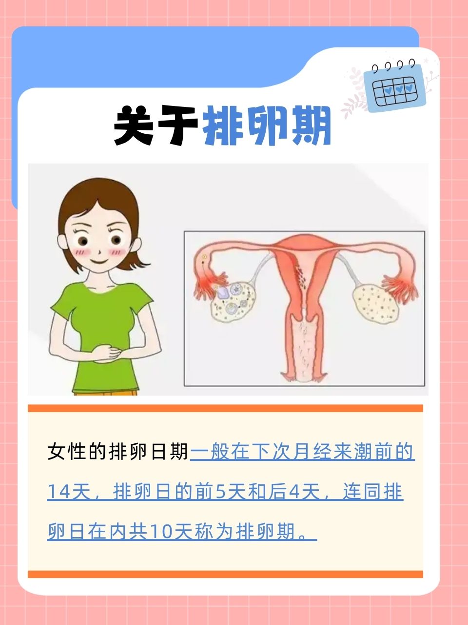 姨妈期卵子_月经期卵泡处于什么状态